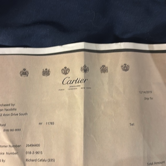 Cartier Gold Interlocking Rings Bracelet with Delicate Chain - Picture 11 of 12